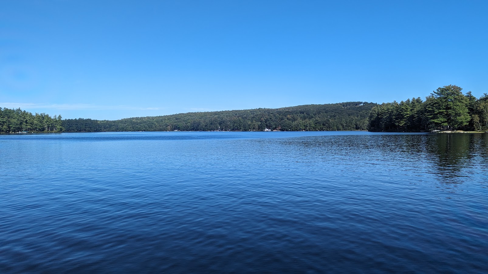 Wide view of Allen Pond with trees in background